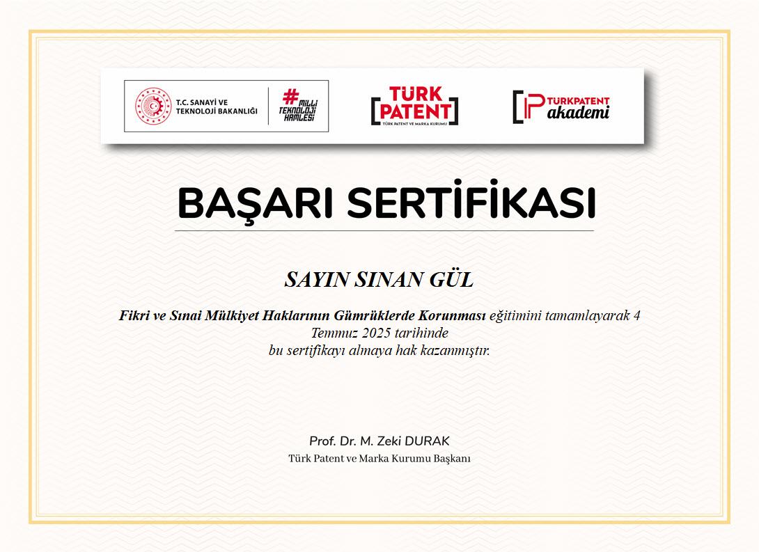 FİKRİ VE SINAİ MÜLKİYET HAKLARININ GÜMRÜKLERDE KORUNMASI